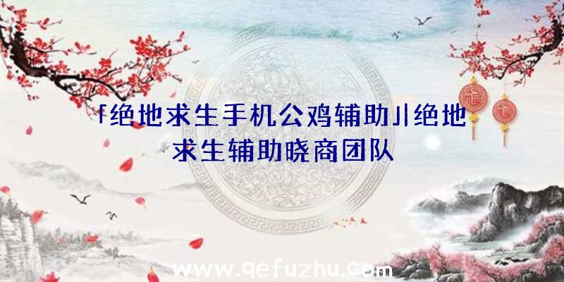 「绝地求生手机公鸡辅助」|绝地求生辅助晓商团队